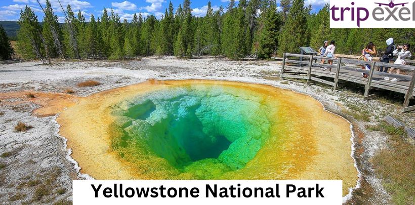 Trip to Yellowstone National Park